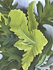 Green Oak Leaves by Georgia O'Keeffe
